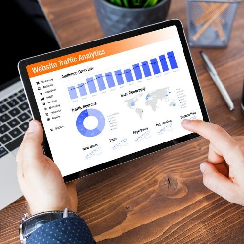 Person viewing website conversion and traffic